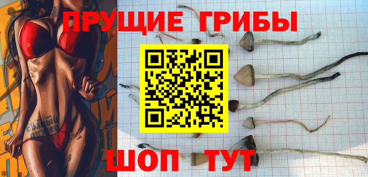 Галлюциногенные грибы GOLDEN TEACHER  Красноуфимск 